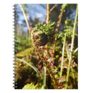 Espiral Caderno da fronda da samambaia
