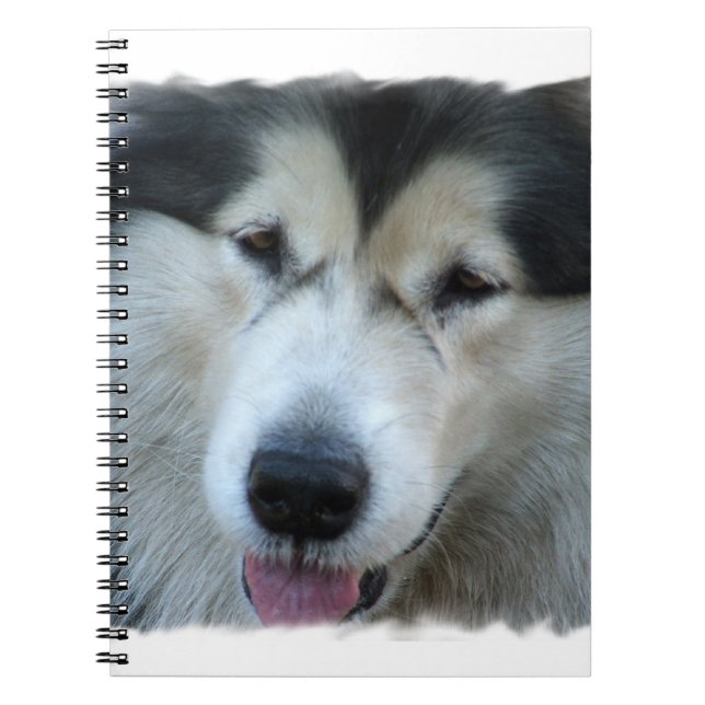 Espiral Caderno da imagem do Malamute do lobo (Frente)
