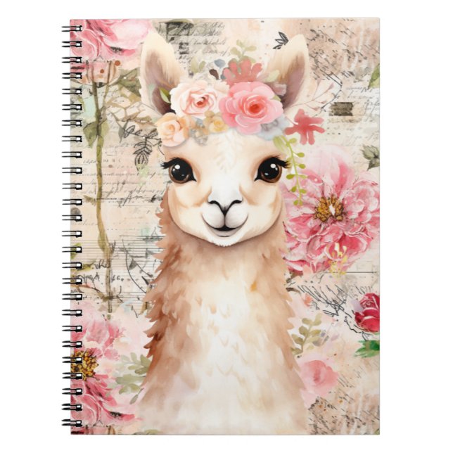 Espiral Caderno da Llama Bonita (Frente)