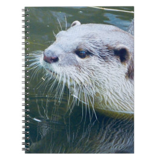 Espiral Caderno da lontra