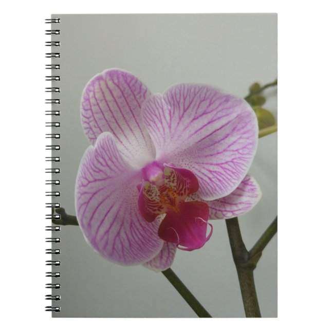Espiral Caderno da orquídea (Frente)