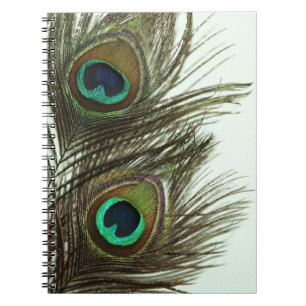 Espiral Caderno da pena do pavão