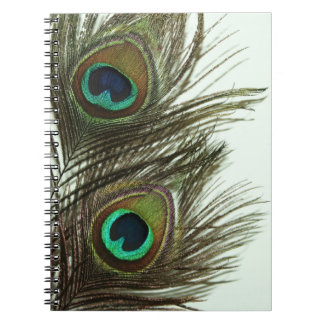 Espiral Caderno da pena do pavão