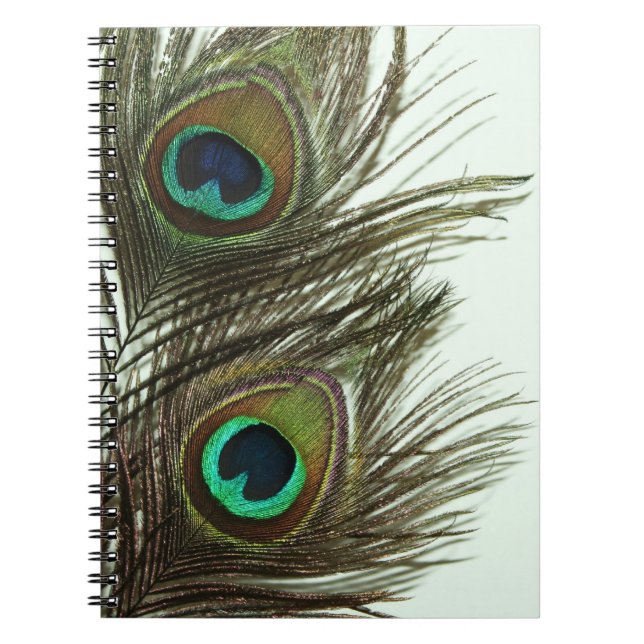 Espiral Caderno da pena do pavão (Frente)