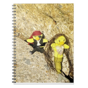 Espiral Caderno da Sereia Danni