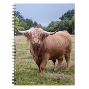 Espiral Caderno da vaca das montanhas