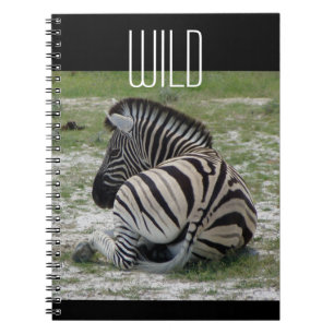 Espiral Caderno da zebra