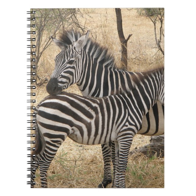 Espiral Caderno da zebra da mãe e do bebê (Frente)