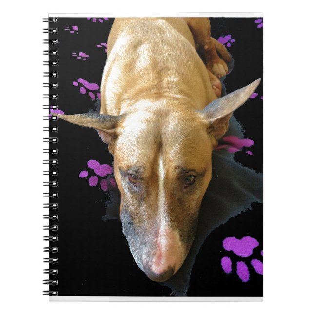 Espiral Caderno de bull terrier do inglês (Frente)