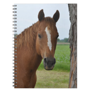 Espiral Caderno de Cavalo