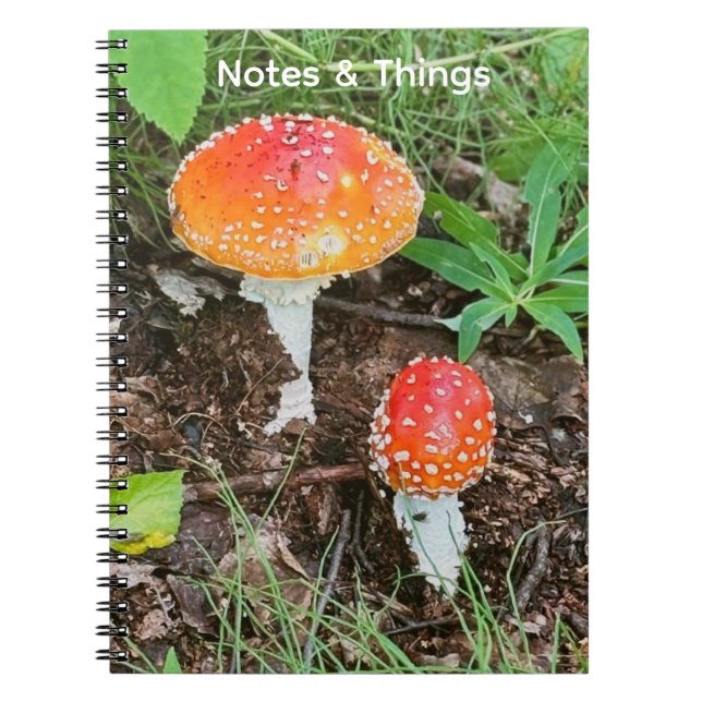 Espiral Caderno de Cogumelos Florestais  (Frente)