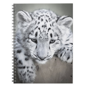 Espiral Caderno de Cub do leopardo de neve de Adorabe