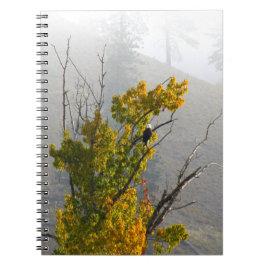 Espiral Caderno de Eagle