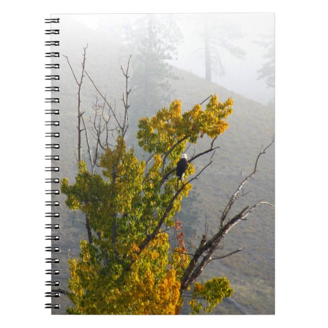 Espiral Caderno de Eagle (Frente)