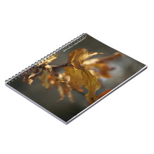 Espiral Caderno de Folhas de Outono