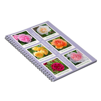 Espiral Caderno de Fotos das Rosas Inglesas