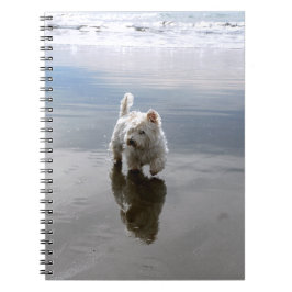 Espiral Caderno de Fotos de Reflexão do Westie na Praia