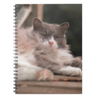 Espiral Caderno de Gato Fofo Dormindo Aconchegante