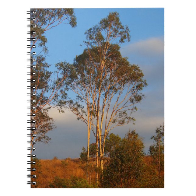 Espiral caderno de gomas australiano (Frente)