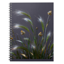 Caderno de Grama Dourada