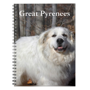 Espiral Caderno de grandes Pyrenees