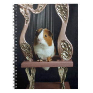 Espiral Caderno de Harpa de Porquinho-da-Índia – Livro de