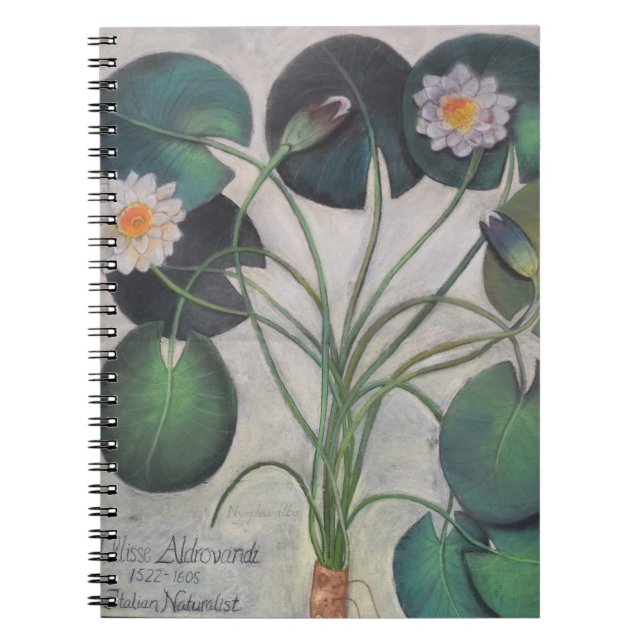 Espiral Caderno de Lillies da água (Frente)