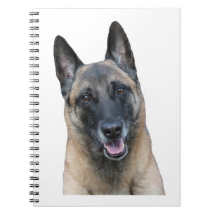 Espiral Caderno de Malinois do belga