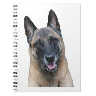 Espiral Caderno de Malinois do belga