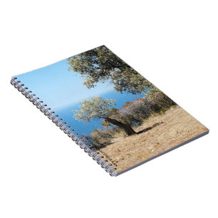 Espiral Caderno de Mallorca
