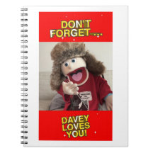 Caderno de Mistérios de Murdoch do Davey