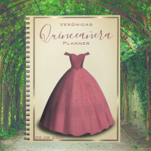 Caderno de planejamento de Quinze Anos livro de vi