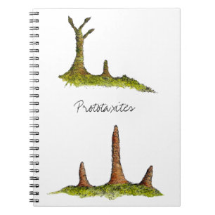 Espiral Caderno de Prototaxites