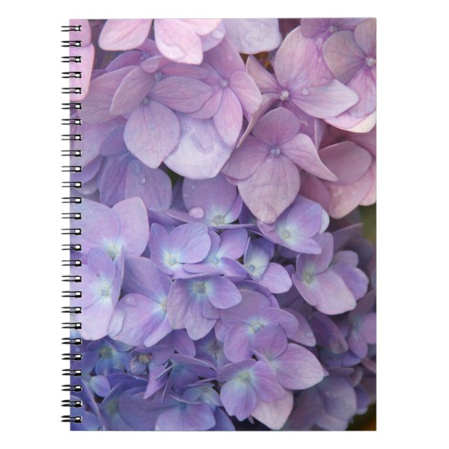 Espiral Caderno direito/canhoto do Hydrangea (Frente)