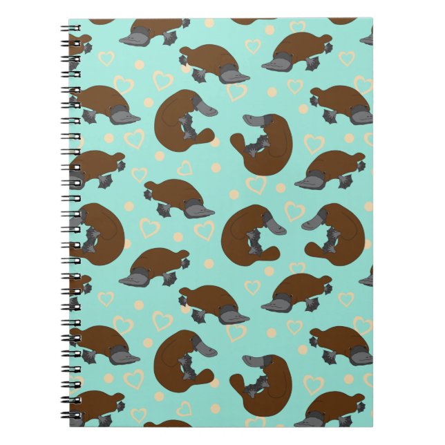 Espiral Caderno do amor de Platypus (Frente)