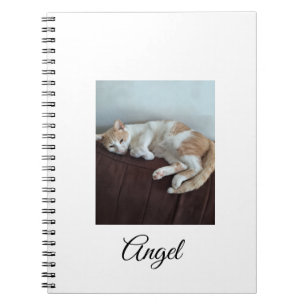 Espiral Caderno do Anjo o Gato Sassy