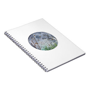 Espiral Caderno do brilho