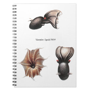 Espiral Caderno do calamar do vampiro