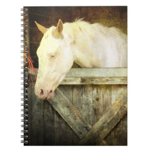 Espiral Caderno do cavalo branco