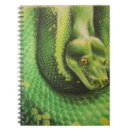 Espiral Caderno do cobra