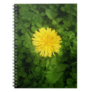 Espiral Caderno do dente-de-leão