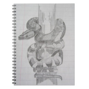 Espiral Caderno do desenho de lápis do cobra