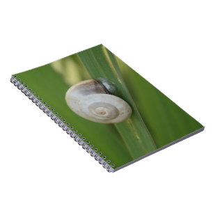 Espiral Caderno do Diário do caracol