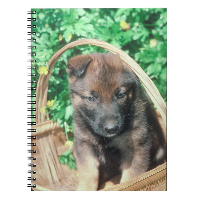 Espiral Caderno do filhote de cachorro de Malinois do (Frente)