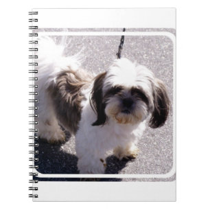 Espiral Caderno do filhote de cachorro do Tsu de Shih