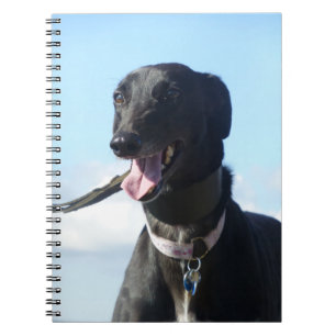 Espiral Caderno do galgo (P001)