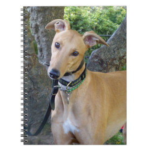 Espiral Caderno do galgo (P003)