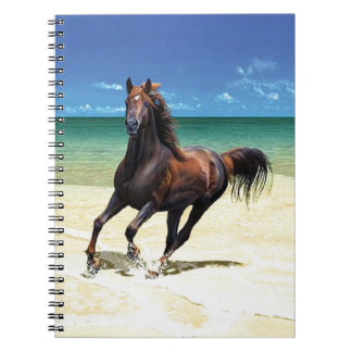 Espiral Caderno do garanhão da praia