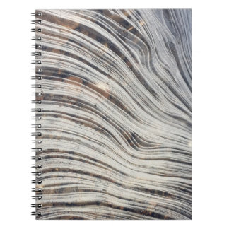 Espiral Caderno do gelo de Loch Ness