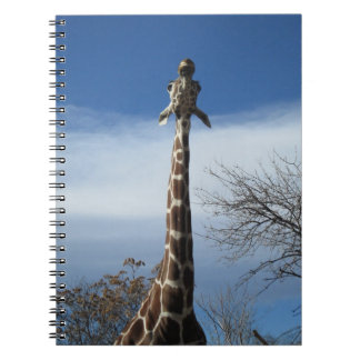 Espiral Caderno do girafa